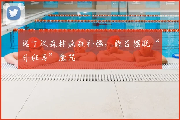 诺丁汉森林疯狂补强,能否摆脱“升班马”魔咒